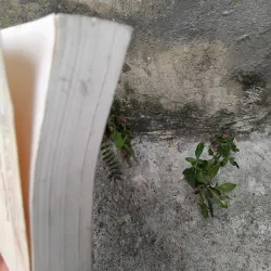 Từ điển thi ca Anh - Mỹ - Việt  1030155