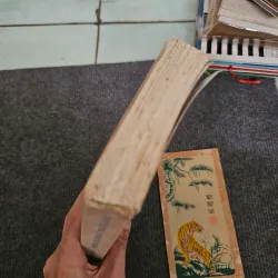 Chúng ta thoát thai từ đâu 745870