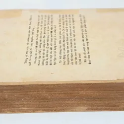 Tiểu thuyết VIÊN CHUYÊN GIA XIXIN (422 trang) 977450