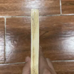 Và khi tro bụi - Đoàn Minh Phụng (15) 570547