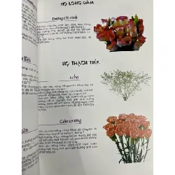 Nghệ thuật cắm hoa cao cấp - Thiên Kim 711784