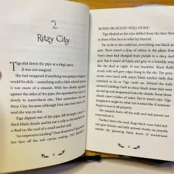 [Sách tiếng Anh 2hand] Like new 90% - 🧙‍♀️ Witch Wars – Sibéal Pounder ✨ 960559