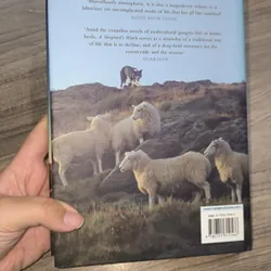 The Dogs of Windcutter Down: One Shepherd's Struggle for Survival
David Kennard 723317