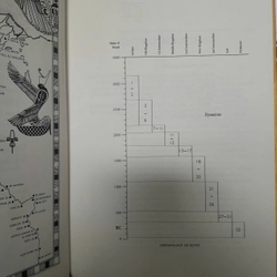 UNDERSTANDING HIEROGLYPHS -HILARY WILSON 493236