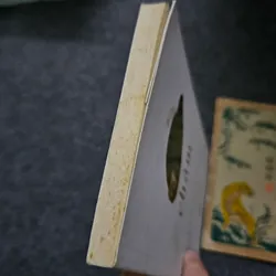 Chậm - Milan Kundera 733953