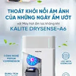 Máy hút ẩm Kalite DrySense-A6 738309
