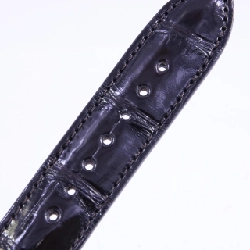 Gucci G-Timeless GMT 126.3/YA126332 SS tự động - Hàng hiệu chính hãng 883765