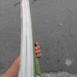 The Kingfisher enclopedia of everything  969956