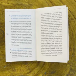 CHINA’S DEVELOPING LEGAL AID SYSTEM 1002596