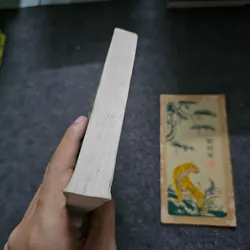 Mât thơ - Đỗ Lai Thúy 733052