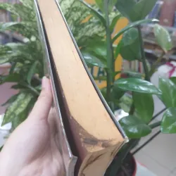 TÌNH YÊU, TỘI ÁC & TRỪNG PHẠT - NGUYỄN HUY THIỆP 1033462