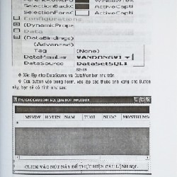 Tự Học Lập Trình Cơ Sở Dữ Liệu Access 2003 & Visual Basic.Net 10125