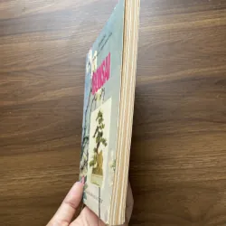 Bonsai 🌿🌿 961565