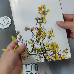 Cao Ly Đầu Hình 928568