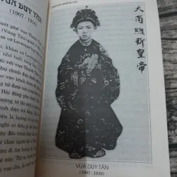 NHÀ NGUYỄN Chín Chúa Mười ba Vua- Tg Phi Long . Bản in 2003 Nxb Đà Nẵng 781265