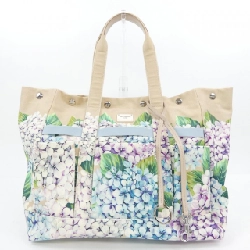 Túi DOLCE&GABBANA TANIA 656208