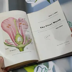[MIỄN PHÍ BỌC SÁCH] The Plant World - Harry J. Fuller 750801