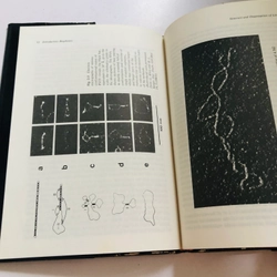 INTRODUCTORY BIOPHYSICS  - bìa cứng, 214 trang  552553