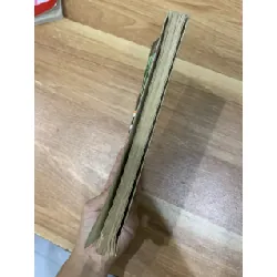 Kho báu trong khu rừng cấm- Mộc Phong 576872