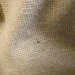 Túi BONNY BONNYAHK của Jimmy Choo 618009