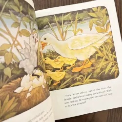 The Ugly Duckling 973660