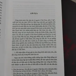 Các dân tộc ít người ở Việt Nam ( các tỉnh phía Nam )  1001906