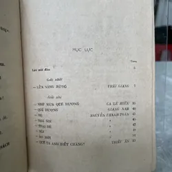 LỬA SÁNG RỪNG 704016