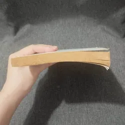 Mastering English Usage - Robert Ilson & Janet Whitcut - 1996 - NXB Trẻ 597059