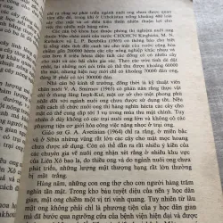 Con ong - dược sĩ có cánh  786810