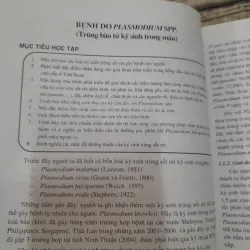 KÝ SINH TRÙNG Y HỌC. Bậc ĐH. ThS Bác sỹ Nhữ Thị Hoa. 787996