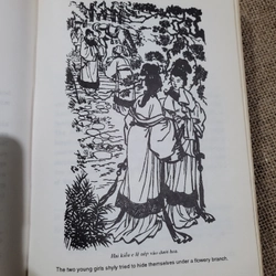 Truyện Kiều, 1999, chú thích tiếng Anh  327728