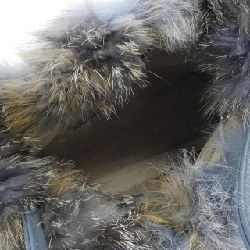 Túi LANZETTI - Hàng hiệu Authentic 831535