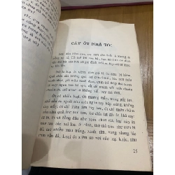 Cây gạo làng tôi - Trinh Đường 546819