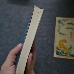 Thất lạc cõi người 733989