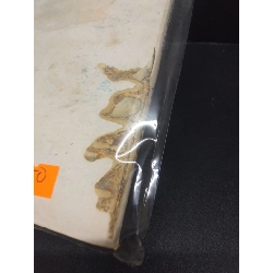 Yoga cho phái nữ Trần thị Minh Anh mới 60% tróc bìa ố nặng trầy bìa mối HCM0106 kỹ năng 914648