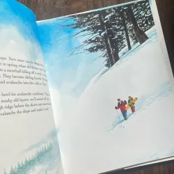 ✨𝑺𝒏𝒐𝒘𝒃𝒐𝒂𝒓𝒅 𝑻𝒘𝒊𝒔𝒕✨ 755670