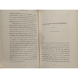The Meaning of Michelle - Veronica Chambers