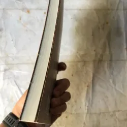 Bùi Giáng, Một Đời Thơ - Bửu Ý 693536