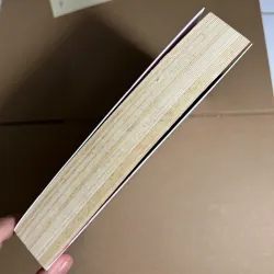 Lần Đầu Yêu Em Mong Được Chiếu Cố 80k 735350