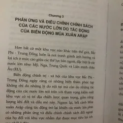 Biến động chính trị - xã hội tại Bắc Phi - Trung Đông và những tác động tới Việt Nam 1045407