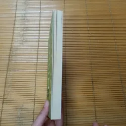 Dưới Mắt Tôi- Trương Chính 776254