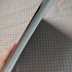 NGUYỄN ĐÌNH CHIỂU - NGÔI SAO CÀNG NHÌN CÀNG SÁNG - GS. LÊ TRÍ VIỄN 724197