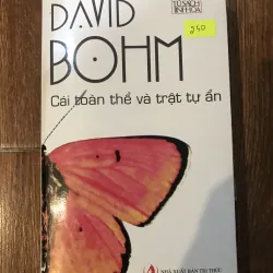 Cái toàn thể và trật tự ẩn - David Bohm (t4.1)