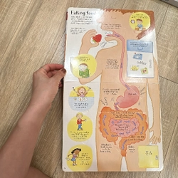 Combo sách Usborne về cơ thể người và atlas 304649