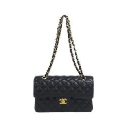Túi xách chéo Chanel 1113 - Hàng hiệu Authentic