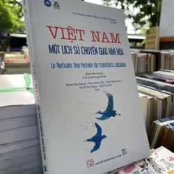 VIỆT NAM MỘT LỊCH SỬ CHUYỂN GIAO VĂN HOÁ