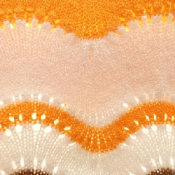 Max Mara weekend - Hàng hiệu Authentic 826721