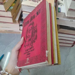 TẠP BÚT NĂM NHÂM THÂN 1992 VÀ TẠP BÚT NĂM QUÝ DẬU 1993 - VƯƠNG HỒNG SỂN 781322