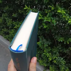 Việt Nam sử lược của Trần Trọng Kim  1024886