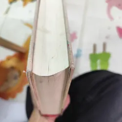 MẸ VIỆT DẠY CON BƯỚC CÙNG TOÀN CẦU – Hồ Thị Hải Âu |  957088